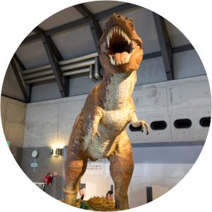 Sakawa Geological Museum