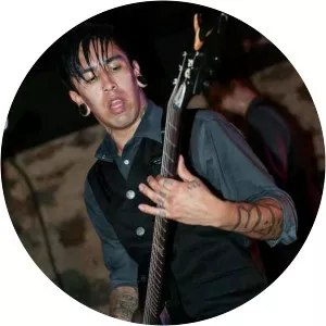 Sal Dominguez Musician - Musician