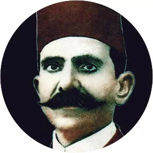 Salama Hegazi Musician