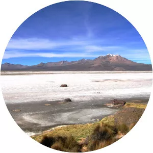 Salar de Surire - 