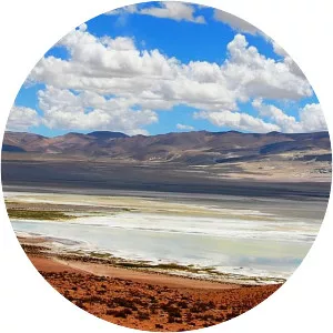 Salar del Huasco - Protected site in Chile