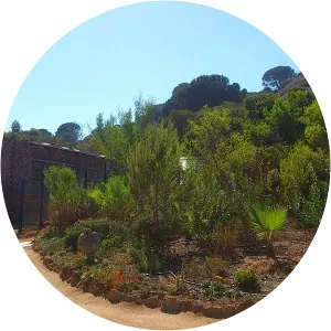 Salem Biblical Garden