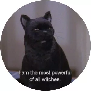 Salem Saberhagen