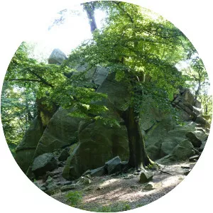 Salesiova výšina - 