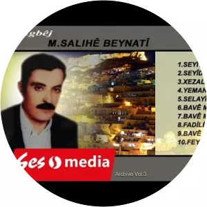 Salıhe Beynati - Musical artist