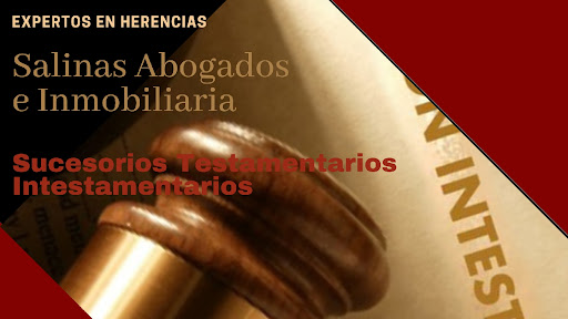 SALINAS ABOGADOS E INMOBILIARIA - Family law attorney in Aguascalientes, Mexico