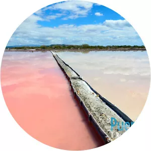 Salinas de Cabo Rojo