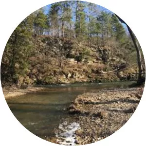Saline River - Tributary in Arkansas