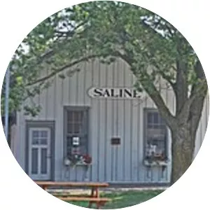 Saline station - Railroad station