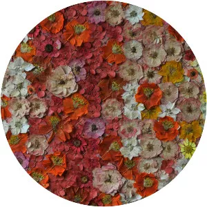 Sally Freshwater - Author