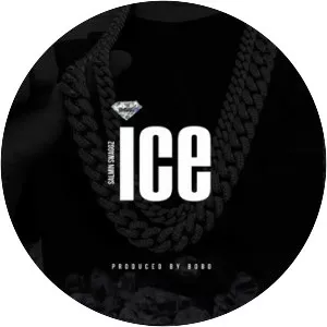 Salmin Swaggz - Musical artist