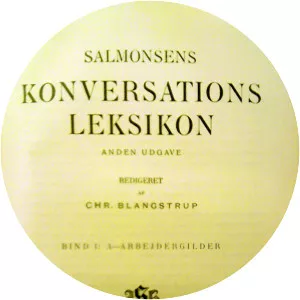 Salmonsens Konversationsleksikon - Book