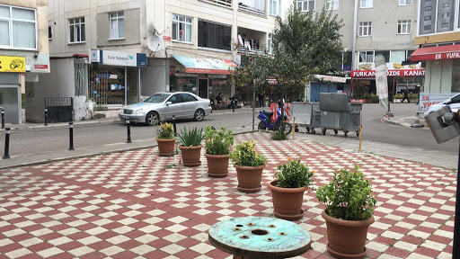 Salon Bordobereliler