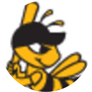 Salt Lake Bees