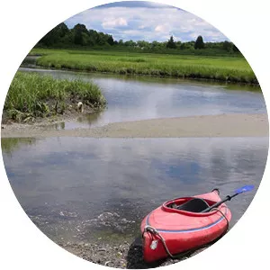Salt marsh photograph