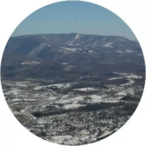 Salt Pond Mountain