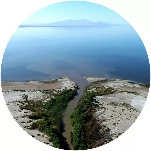 Salton Sea