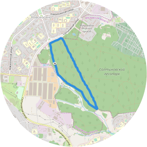 Saltykovsky Forest - 