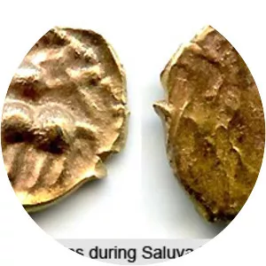 Saluva Narasimha Deva Raya - Poet