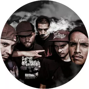 Salvaje Decibel - Musical artist