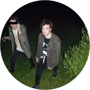 salvia palth - Musician