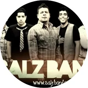 Salzband - Musical artist