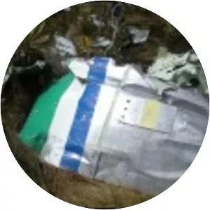 SAM Colombia Flight 501