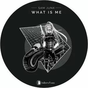 Sam Junk - Musical artist