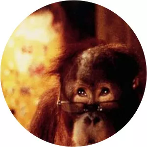 Sam the Orangutan