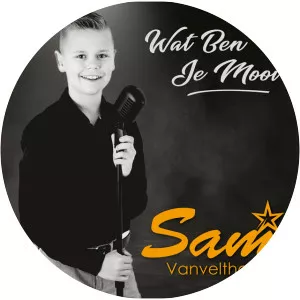 Sam Vanvelthoven - Musical artist