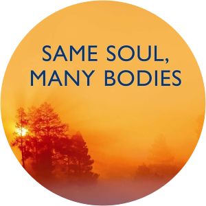 Same Soul, Many Bodies