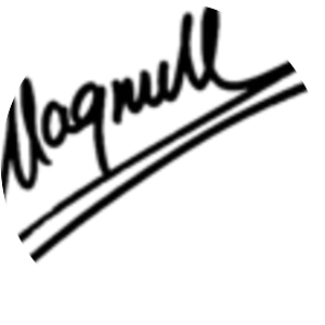 Sami Wolking - Finnish musician