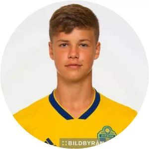 Samuel Dahl - Football player