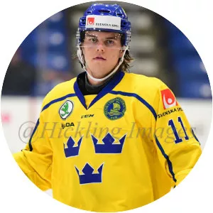 Samuel Fagemo - Swedish ice hockey player