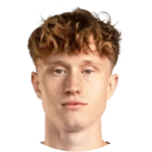 Samuel Mischitz - Austrian football player