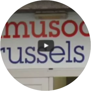 Samusocial Brussels - Nonprofit organization