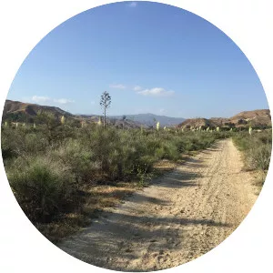 San Francisquito Canyon - 