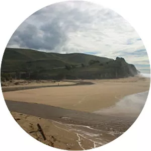 San Gregorio Creek - River in California