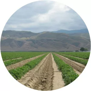 San Joaquin Valley