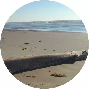 San José Island - Island in Texas