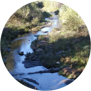 San Pedro Creek - Perennial stream in California