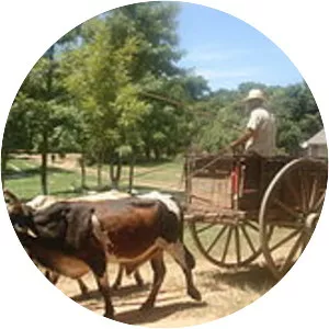 San Pedro Department - Paraguay