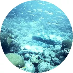 San Pedro Underwater Archaeological Preserve State Park - State park in Florida