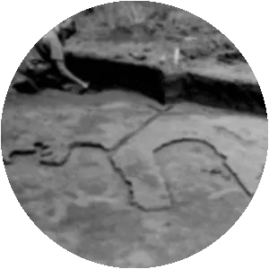 San Pedro y San Pablo de Patale - 