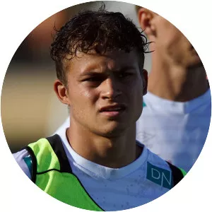 Sander Haugaard Werni