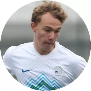 Sandi Ogrinec - Slovenian footballer