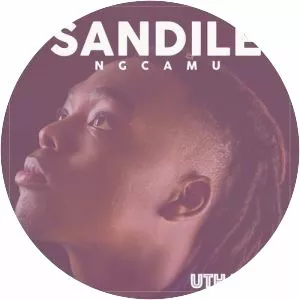 Sandile Ngcamu