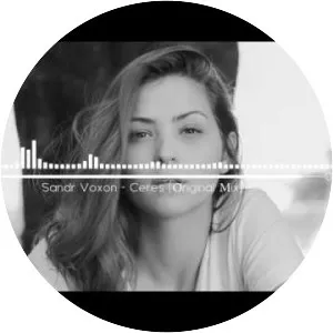 sandr voxon