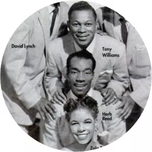 Sandra Dawn - Musical artist