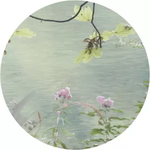 Sandra Kantanen - Photographer